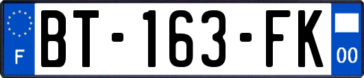 BT-163-FK