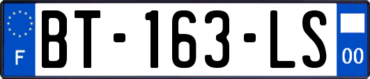 BT-163-LS