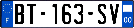 BT-163-SV