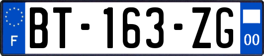 BT-163-ZG