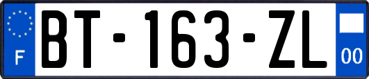 BT-163-ZL