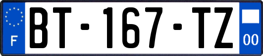 BT-167-TZ