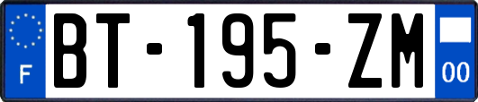 BT-195-ZM