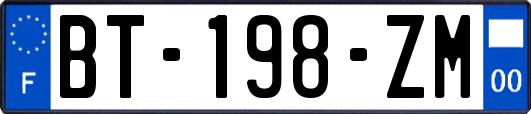 BT-198-ZM