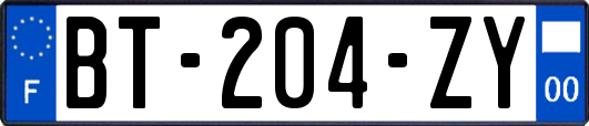 BT-204-ZY