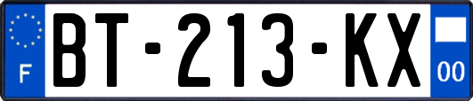 BT-213-KX