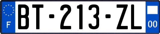 BT-213-ZL