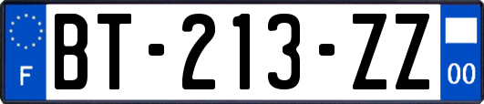 BT-213-ZZ