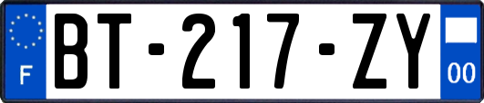 BT-217-ZY