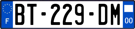 BT-229-DM