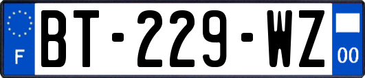 BT-229-WZ