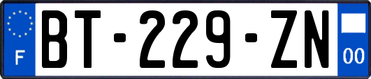 BT-229-ZN