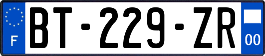 BT-229-ZR