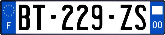 BT-229-ZS