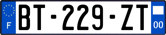 BT-229-ZT