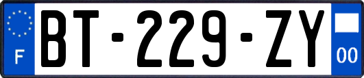 BT-229-ZY