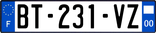 BT-231-VZ