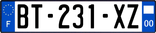 BT-231-XZ