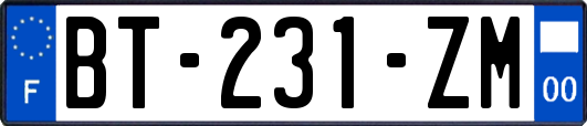 BT-231-ZM