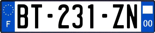 BT-231-ZN