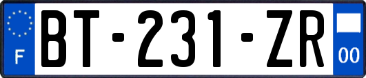 BT-231-ZR