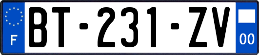 BT-231-ZV