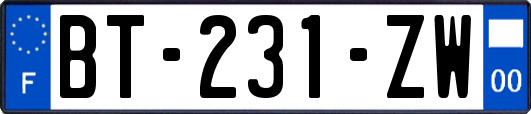 BT-231-ZW