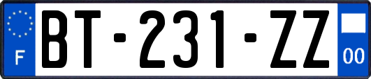 BT-231-ZZ