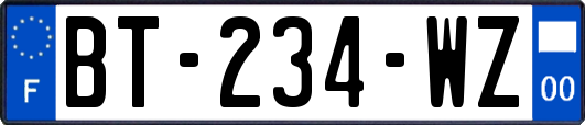 BT-234-WZ