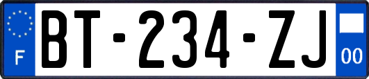 BT-234-ZJ