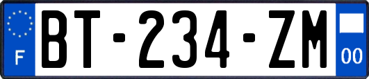 BT-234-ZM