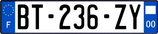 BT-236-ZY