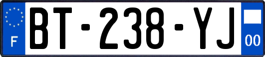 BT-238-YJ