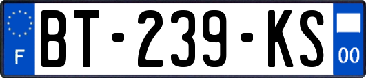 BT-239-KS