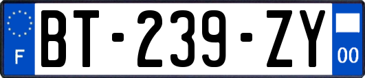 BT-239-ZY