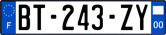 BT-243-ZY