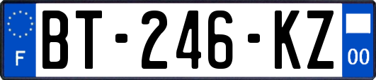 BT-246-KZ