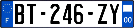 BT-246-ZY