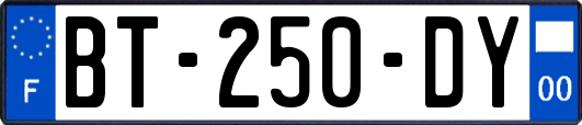 BT-250-DY