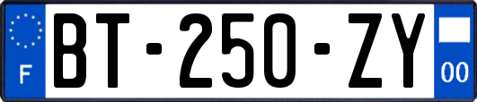 BT-250-ZY