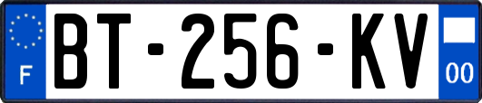 BT-256-KV