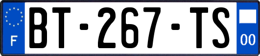 BT-267-TS