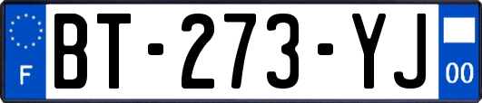 BT-273-YJ