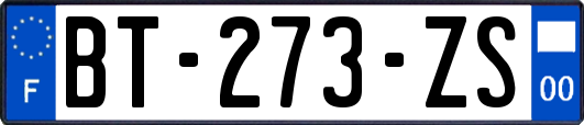 BT-273-ZS