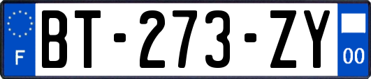 BT-273-ZY