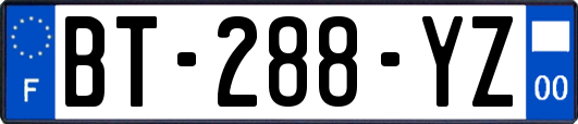 BT-288-YZ