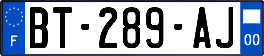 BT-289-AJ