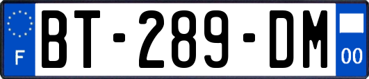 BT-289-DM