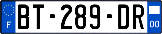 BT-289-DR
