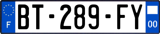 BT-289-FY